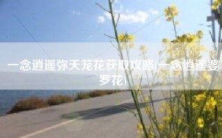 一念逍遥弥天笼花获取攻略(一念逍遥婆罗花)
