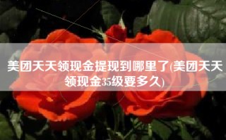 美团天天领现金提现到哪里了(美团天天领现金35级要多久)