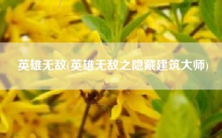 英雄无敌(英雄无敌之隐藏建筑大师)