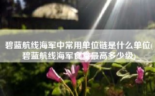 碧蓝航线海军中常用单位链是什么单位(碧蓝航线海军食堂最高多少级)