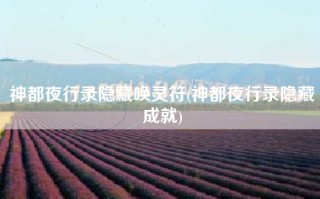 神都夜行录隐藏唤灵符(神都夜行录隐藏成就)