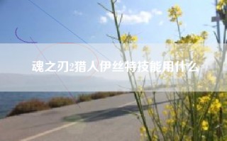 魂之刃2猎人伊丝特技能用什么