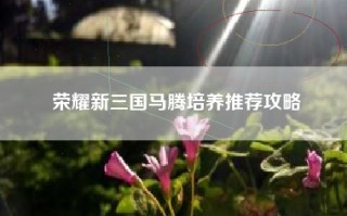 荣耀新三国马腾培养推荐攻略