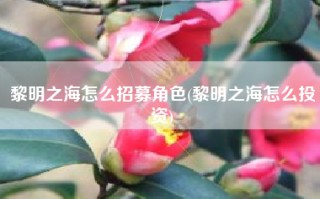 黎明之海怎么招募角色(黎明之海怎么投资)