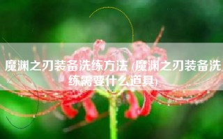 魔渊之刃装备洗练方法 (魔渊之刃装备洗练需要什么道具)