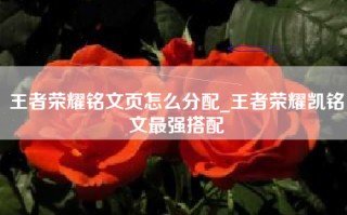 王者荣耀铭文页怎么分配_王者荣耀凯铭文最强搭配