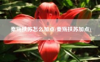 秦殇扶苏怎么加点(秦殇扶苏加点)