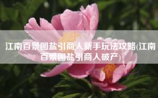 江南百景图盐引商人新手玩法攻略(江南百景图盐引商人破产)