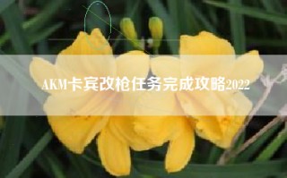 AKM卡宾改枪任务完成攻略2022