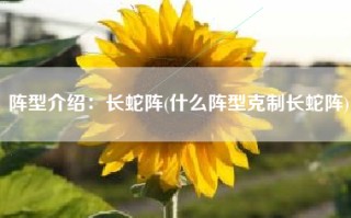 阵型介绍：长蛇阵(什么阵型克制长蛇阵)