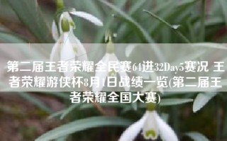 第二届王者荣耀全民赛64进32Day5赛况 王者荣耀游侠杯8月1日战绩一览(第二届王者荣耀全国大赛)