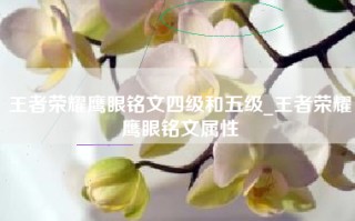 王者荣耀鹰眼铭文四级和五级_王者荣耀鹰眼铭文属性