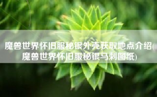 魔兽世界怀旧服秘银外壳获取地点介绍(魔兽世界怀旧服秘银马刺图纸)