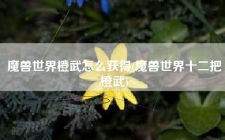 魔兽世界橙武怎么获得(魔兽世界十二把橙武)