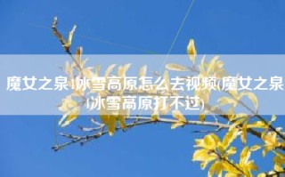 魔女之泉4冰雪高原怎么去视频(魔女之泉4冰雪高原打不过)