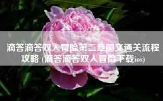 滴答滴答双人冒险第二章图文通关流程攻略 (滴答滴答双人冒险下载ios)