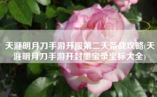 天涯明月刀手游开服第二天备战攻略(天涯明月刀手游开封墨宝录坐标大全)