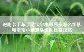 跑跑卡丁车手游宝宝小乖葱头怎么组队(和宝宝小乖葱头组队比赛攻略)
