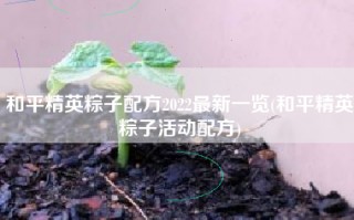 和平精英粽子配方2022最新一览(和平精英粽子活动配方)