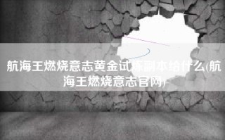 航海王燃烧意志黄金试炼副本给什么(航海王燃烧意志官网)