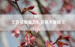 王者荣耀里怎么获得大量铭文