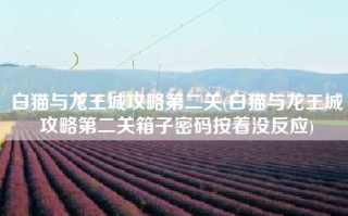 白猫与龙王城攻略第二关(白猫与龙王城攻略第二关箱子密码按着没反应)