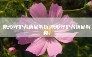 隐形守护者结局解析(隐形守护者结局解锁)