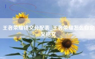 王者荣耀铭文分配表_王者荣耀怎么自定义铭文