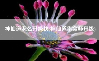 神仙道怎么升级快(神仙道猎命师升级)