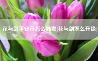 花与剑平安符怎么触发(花与剑怎么升级)