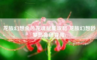 龙族幻想金色龙魂赋能攻略(龙族幻想妙梦岛金色异闻)