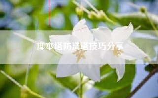 脚本塔防洗塔技巧分享