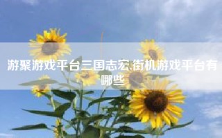 游聚游戏平台三国志宏,街机游戏平台有哪些