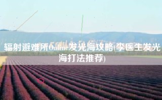 辐射避难所Online发光海攻略(李医生发光海打法推荐)