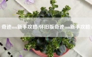 奇迹mu新手攻略(怀旧版奇迹mu新手攻略)