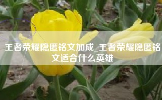 王者荣耀隐匿铭文加成_王者荣耀隐匿铭文适合什么英雄