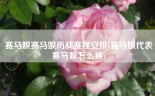 赛马娘赛马娘历战赛程安排(赛马娘代表赛马娘怎么换)