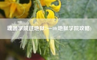 魂器学院过地狱7—10(地狱学院攻略)