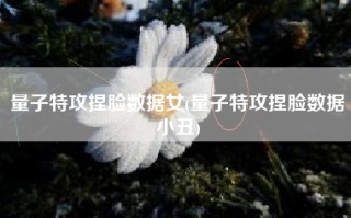 量子特攻捏脸数据女(量子特攻捏脸数据小丑)