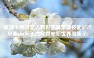 航海王燃烧意志新世界乌索普技能加点攻略(航海王燃烧意志新世界黑胡子)