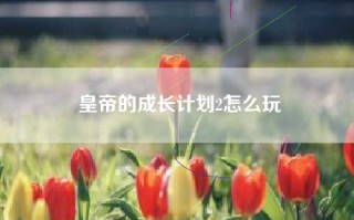 皇帝的成长计划2怎么玩