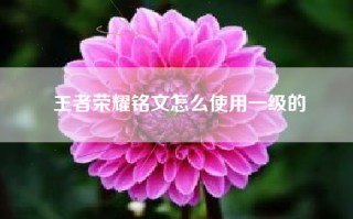 王者荣耀铭文怎么使用一级的
