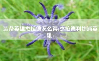 装备英雄杰拉德怎么得(杰拉德利物浦英雄)