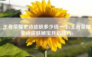 王者荣耀史诗皮肤多少钱一个(王者荣耀史诗皮肤秘宝开启技巧)