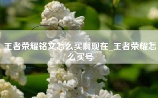 王者荣耀铭文怎么买啊现在_王者荣耀怎么买号