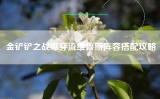 金铲铲之战爆穿流维鲁斯阵容搭配攻略
