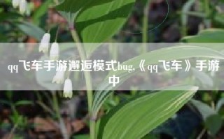 qq飞车手游邂逅模式bug,《qq飞车》手游中