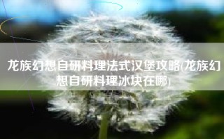 龙族幻想自研料理法式汉堡攻略(龙族幻想自研料理冰块在哪)