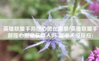 英雄联盟手游摇心愿在哪里(英雄联盟手游摇心愿是在耍人吗-摇半天没反应)
