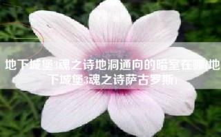地下城堡3魂之诗地洞通向的暗室在哪(地下城堡3魂之诗萨古罗斯)